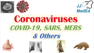 Coronaviruses  Discovery Origins amp Symptoms of COVID19 SARS MERS and Other Coronaviruses [upl. by Aihpos]