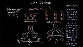 3 AC échanges gazeux respiratoires au niveau des cellules et organe Partie 1 [upl. by Bravin]