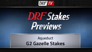 Gazelle Stakes Preview 2018 [upl. by Gabrielson]