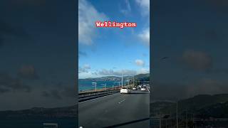 Wellington city New Zealand [upl. by Onfroi413]