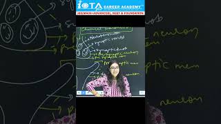 MODI JI IN THE HOUSE iota CHEMICALTRANSMISSION zoology neet2025 BY DRVAISHALI VERMA funny [upl. by Ellersick]