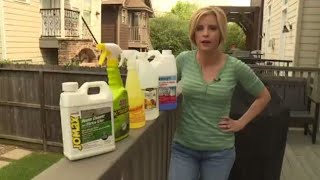 Best products to remove outdoor mold mildew [upl. by Llehsor]