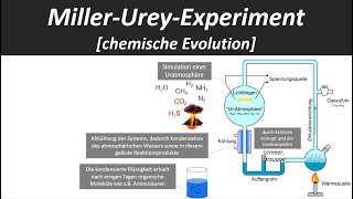 MillerUrey Experiment Hypothese zur Entstehung des Lebens chemische Evolution  Biologie [upl. by Aurlie494]