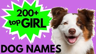 Top 200 Unique FEMALE Dog Names – Girl Dog Names [upl. by Lemyt879]