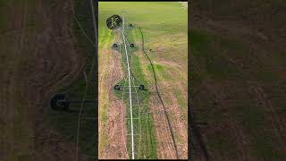 Carrera de galgos y liebre galgo caza galgosyliebres galgosdron dji caballos drongalgo [upl. by Mandell]