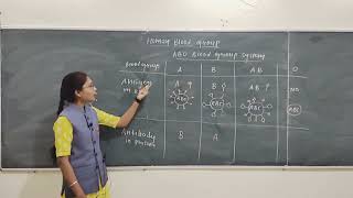 Human Blood Groups and Its Compatibility [upl. by Notac]