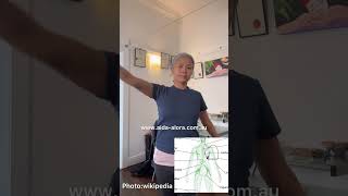 Axillary Lymph nodes exercise lymphnodes exercise [upl. by Lynch]