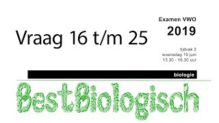 Biologie examen VWO 2019 tweede tijdvak vraag 16 tm 25 [upl. by Kuska191]