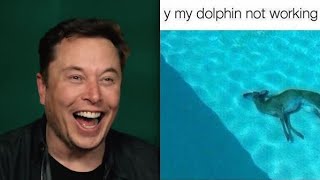 Elon Musk finds quotdolphin not workingquot meme hilarious  Meme Review [upl. by Tychon]