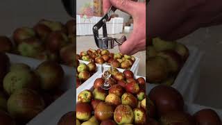 Juicing the Unusual You Wont Believe What Comes Out 🍎🍷 [upl. by Kelvin]