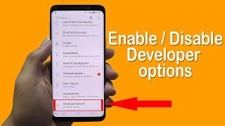 How to Enable  Disable Developer Option on Android 2019 [upl. by Ylluz]