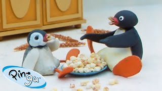 Pingu Loves Food 🐧  Pingu  Official Channel  Cartoons For Kids [upl. by Eppes329]