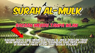 Surah Al Mulk Bacaan Merdu Penghantar Tidur Menenangkan Hati dan Pikiran [upl. by Perni]