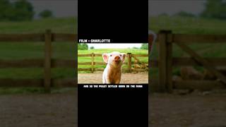 This little pig is a bit stubborn movieexplain shorts [upl. by Aysan]