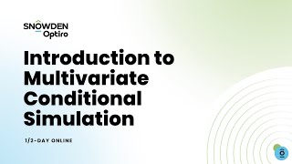 PD Training Course Introduction to Multivariate Conditional Simulation 12DAYS ONLINE [upl. by Fletcher]