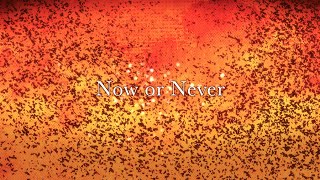 Now or Never  ナノ Music Video [upl. by Combes7]