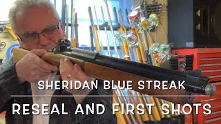 Sheridan Blue Streak Pump cup replacement and testing What a beast [upl. by Aitel]