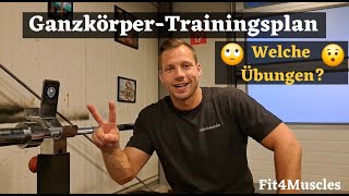 Ganzkörper Trainingsplan︱Welche Übungen [upl. by Yeliac605]