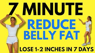 7 Minute Belly Fat Workout  7 Day Challenge  Start Today [upl. by Adnek]