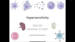 Immunology Fall 2023 Lecture 30 Hypersensitivity Part 1 [upl. by Pooi]