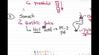 Biology  2nd sec summary session 5  Biophilia [upl. by Shane28]