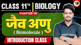 जैव अणु  Biomolecules  Biology Class 11th Chapter 10 Bihar Board  Class 11th Biology Chapter 10 [upl. by Alleahcim]