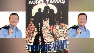 Aurel Tamas  Trup de vant  Album [upl. by Hannahs]