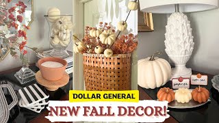 AMAZING Fall Decor from DOLLAR GENERAL 2024 Fall Decor Haul 🍁 [upl. by Mahmoud]