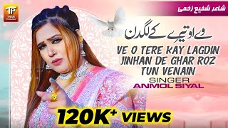 Ve O Tere Kay Lagdin Jinhan De Ghar Roz Tun Venain  Anmol Siyal  Music Video  Thar Production [upl. by Gregory]