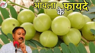 Amla ke fayde  Health benefits of Amla in Hindi  Rajiv Dixit amla weightloss [upl. by Grier407]