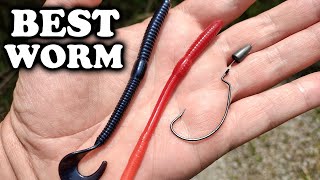 Bass Fishing With Cheap Plastic Worms Which Worm Catches More Bass [upl. by Palladin]