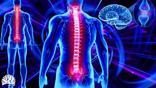 528hz Super Recovery Healing Frequency Whole Body RegenerationCell Nerve Damage Repair Healing [upl. by Strong]