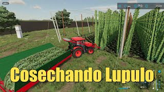 Cosechando Lúpulo  FS22 [upl. by Eidualc]