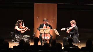 JSBach BWV 988  Goldberg Variations for String Trio [upl. by Dyer150]