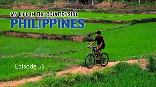 Climbing on a seagrape tree to cook Filipino food  My life in the countryside Philippines EP 55 [upl. by Asen]