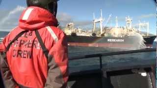 Bob Barker Encounter with Yushin Maru 2 Attempting to Transfer Poached Whale to Nisshin Maru [upl. by Adgam]