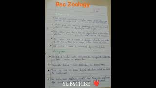 Bsc Zoology 1sem Assignment zoology bsc assignment shorts [upl. by Einnil]