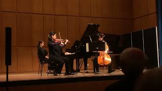 A Arensky Piano Trio No 1 d minor Op 32 [upl. by Aubrie564]