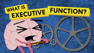 What is Executive Function and Why Do We Need it [upl. by Ahsilef]