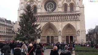 All bells ringing at Notre Dame Cathedral in Paris [upl. by Bald764]