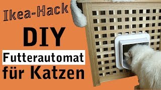 Futterautomat für Katzen selber bauen  DIY IKEA HACK [upl. by Saiff546]