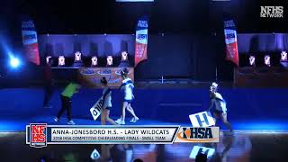 2018 IHSA Competitive Cheerleading FInals Small and Medium Divisions [upl. by Yorker]