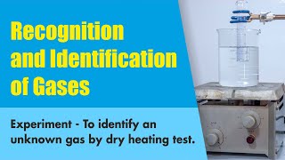 Testing and Identification of Hydrogen Oxygen Carbon Dioxide Chlorine Ammonia Sulphur Dioxide [upl. by Eidoj659]