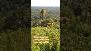 Kita mo lahat kapag nasa TaaS ka nang bundok [upl. by Cummine]