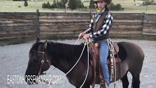 Helpful Tips and Hints on Riding with a Mecate Horse Bridle [upl. by Llecrep608]