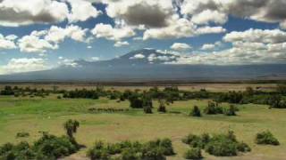 Echo and the Elephants of Amboseli Promo [upl. by Yelsnik]