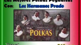 Los Hermanos Prado  Polkas y más polkas Popurrí [upl. by Dunlavy33]