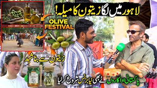 National Olive Festival 2024 At Lahore Organic Village  Chak De Phatay  Discover Pakistan [upl. by Hilton]