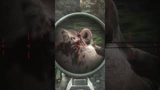 Instinctive Sniping Without Visual Confirmation Is A Science escapefromtarkov shorts [upl. by Annoyik353]