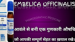 Emblica Officinalis  Amla आंवला जो रखे आपकी सेहत का ख़याल हर मौसम में Homoeopathicvines [upl. by Gnouhk102]